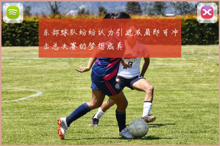 东部球队纷纷认为引进浓眉即可冲击总决赛的梦想成真