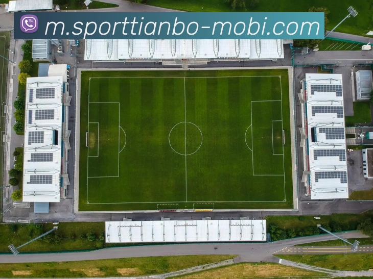 天博体育APP 封面图